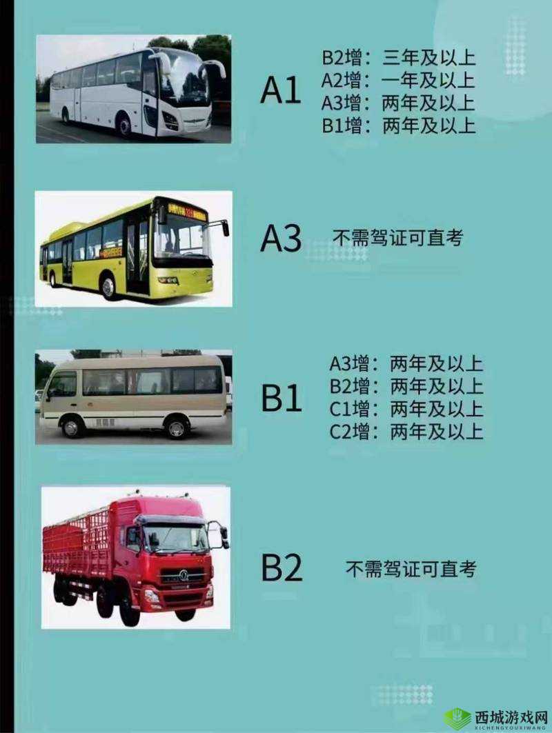 国产 A1a2a317c:关于它的介绍
