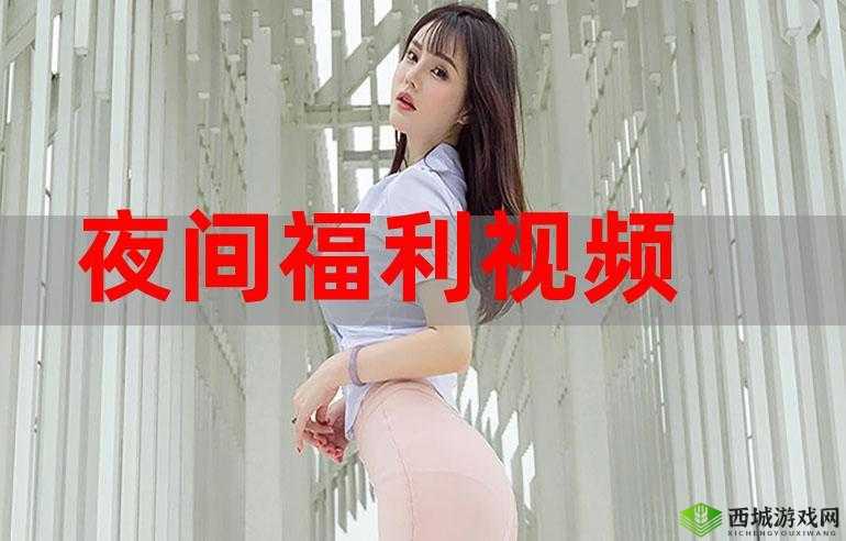 100 款夜间禁用 B 站视频软件:你了解多少