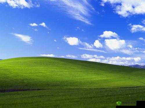 高清 WINDOWS 免费版网站何处寻:官方网站提供下载