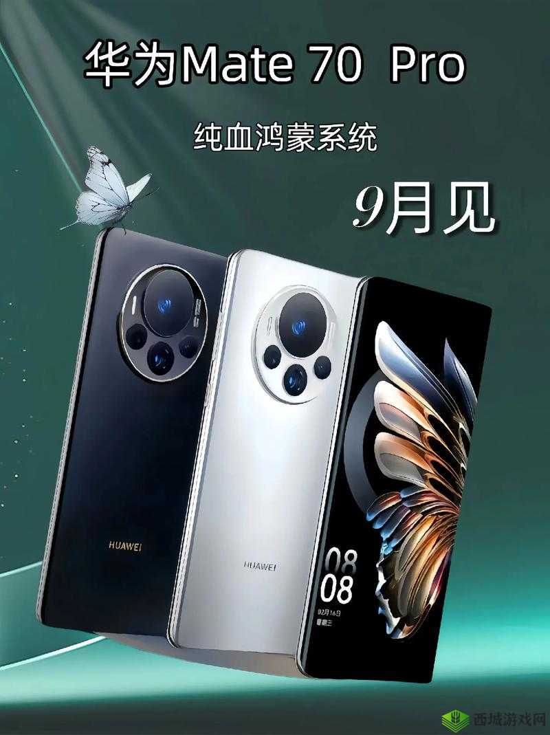 AAAAA 级别:极致卓越之典范
