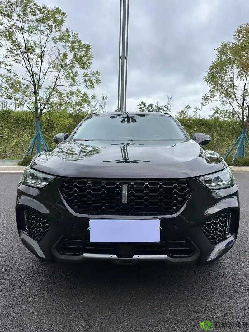 weyvv5 国产的 suv 不再限制观看：畅享自由驾驭体验