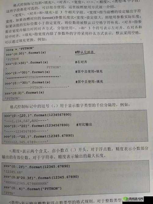PYTHON 人狗大 CSDN：技术探讨与交流