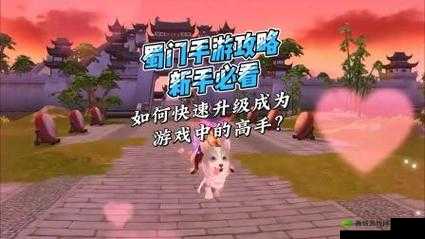 新手攻略：如何开启《开罗之星》周目游戏之旅