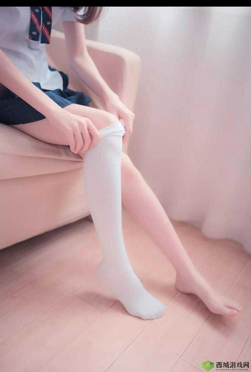 白丝露内：优雅与魅力的交织