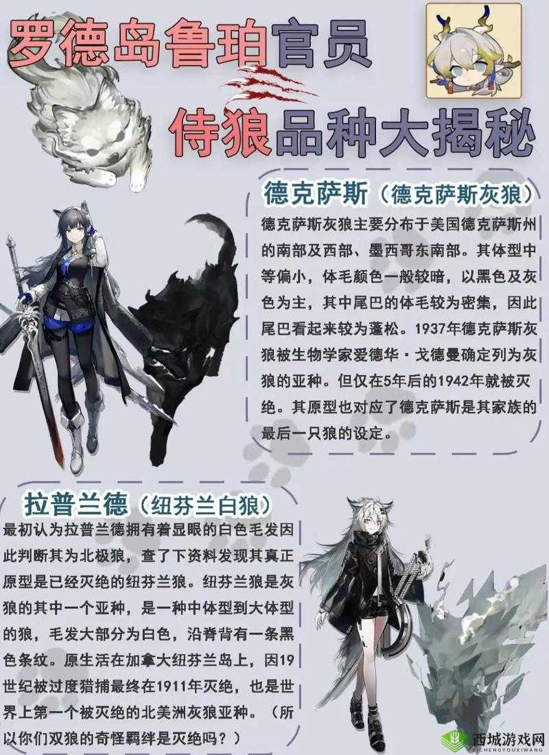 明日方舟新干员绮良介绍,资源管理的新篇章