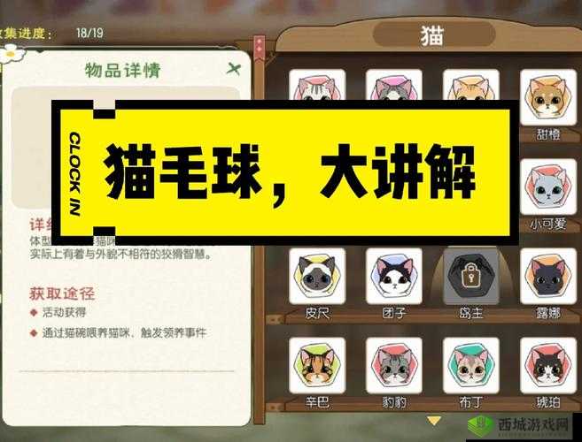 小森生活中猫毛球的角色解析，资源管理关键性及其高效利用策略