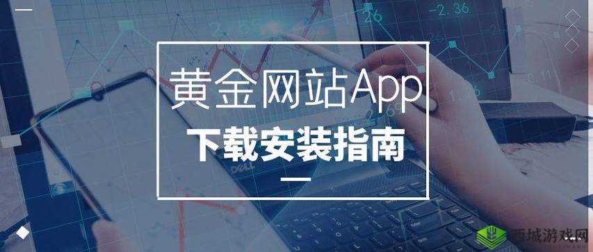 黄金网站 APP 视频播放画质选择:畅享高清与流畅画质的自由切换
