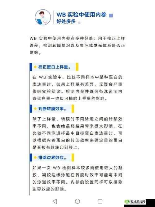 九阳神功2中侠、邪、隐、伶四角色培养重要性及资源管理优化策略