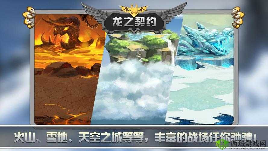 龙之契约，探索龙族的奥秘与辉煌