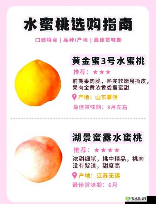 水蜜桃一卡2卡3卡4卡:全面解析不同卡种的特点与适用场景,助你轻松选择最佳方案