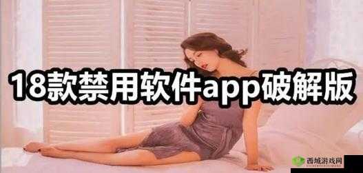 100款夜间禁用软件app有哪些?快来了解一下它们的特点与危害